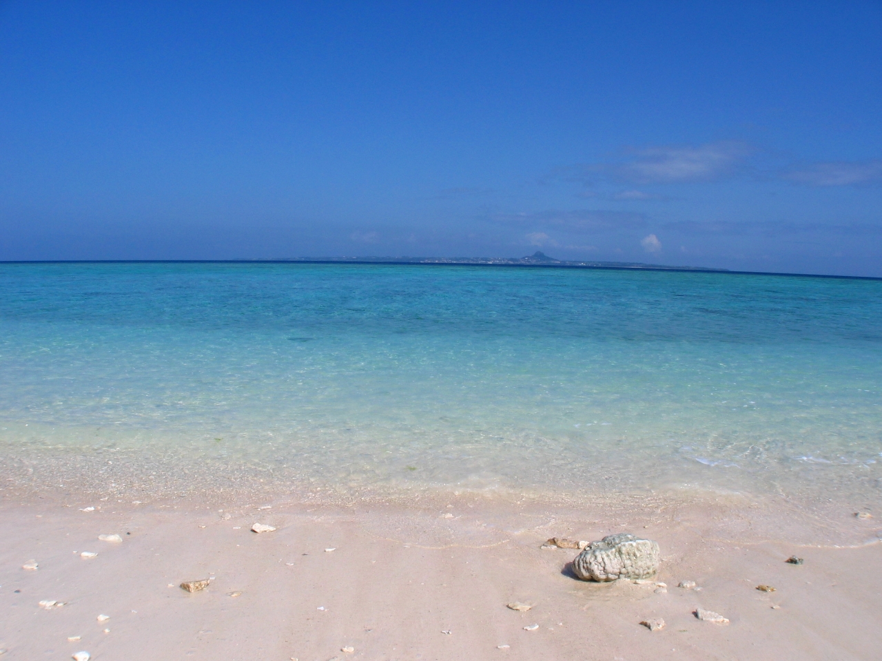 ̓xQ̊Cōō̎vo܂񂩁c