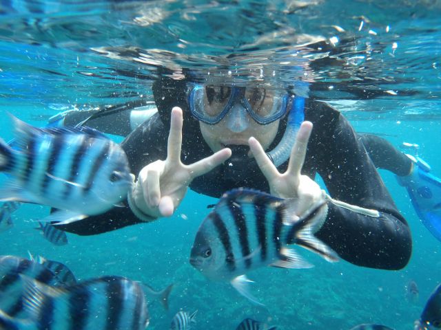 たくさんのお魚たちと一緒にお散歩