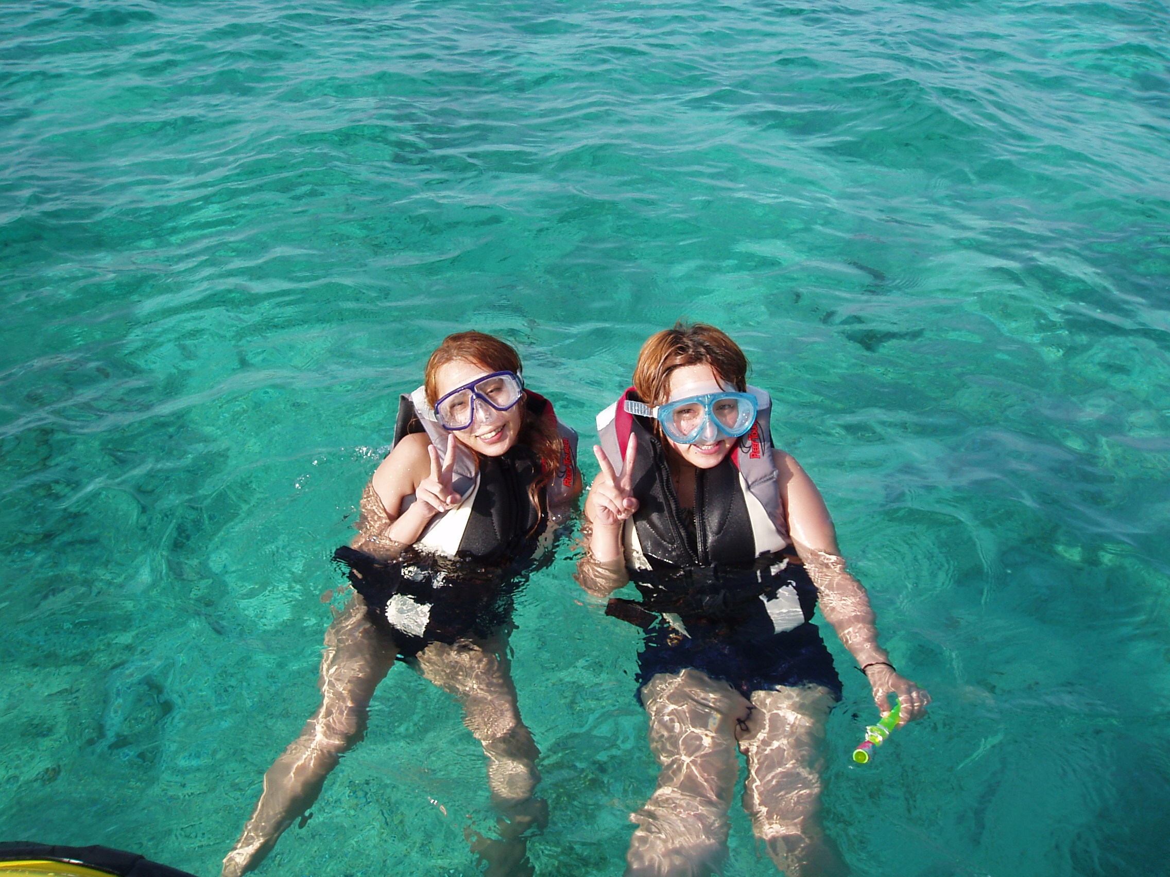 ̌̂ʐ^͖ł񂨎B肢܂