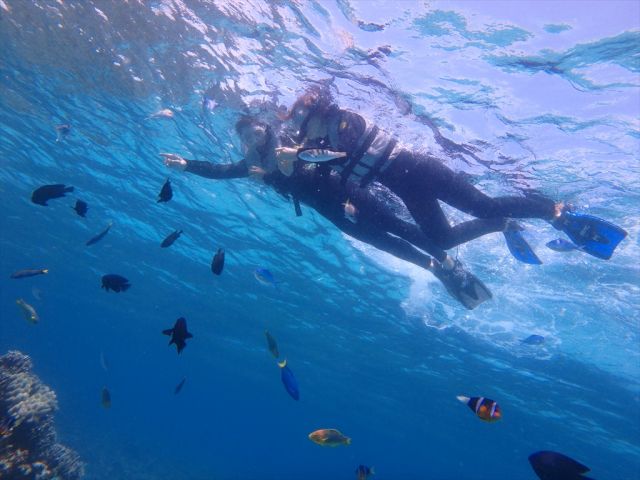 お魚さんと一緒にパシャリ!