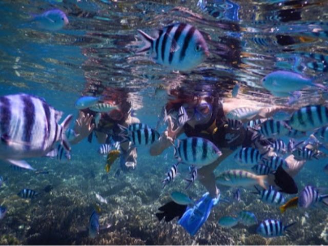 お魚さんがお出迎え☆