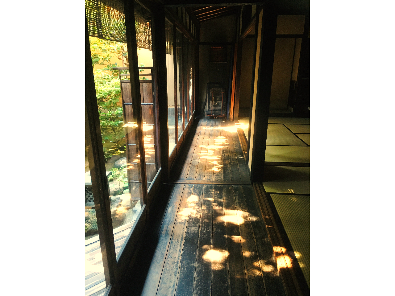 大変貴重な10メートルもの松の廊下