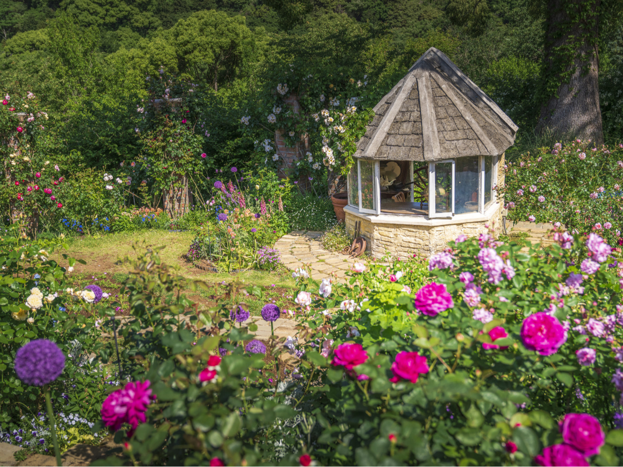 「ACAO FOREST」特別前売り入園チケット