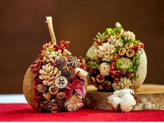 幸せを呼ぶ幸運の実と呼ばれているブッダナッツアレンジ