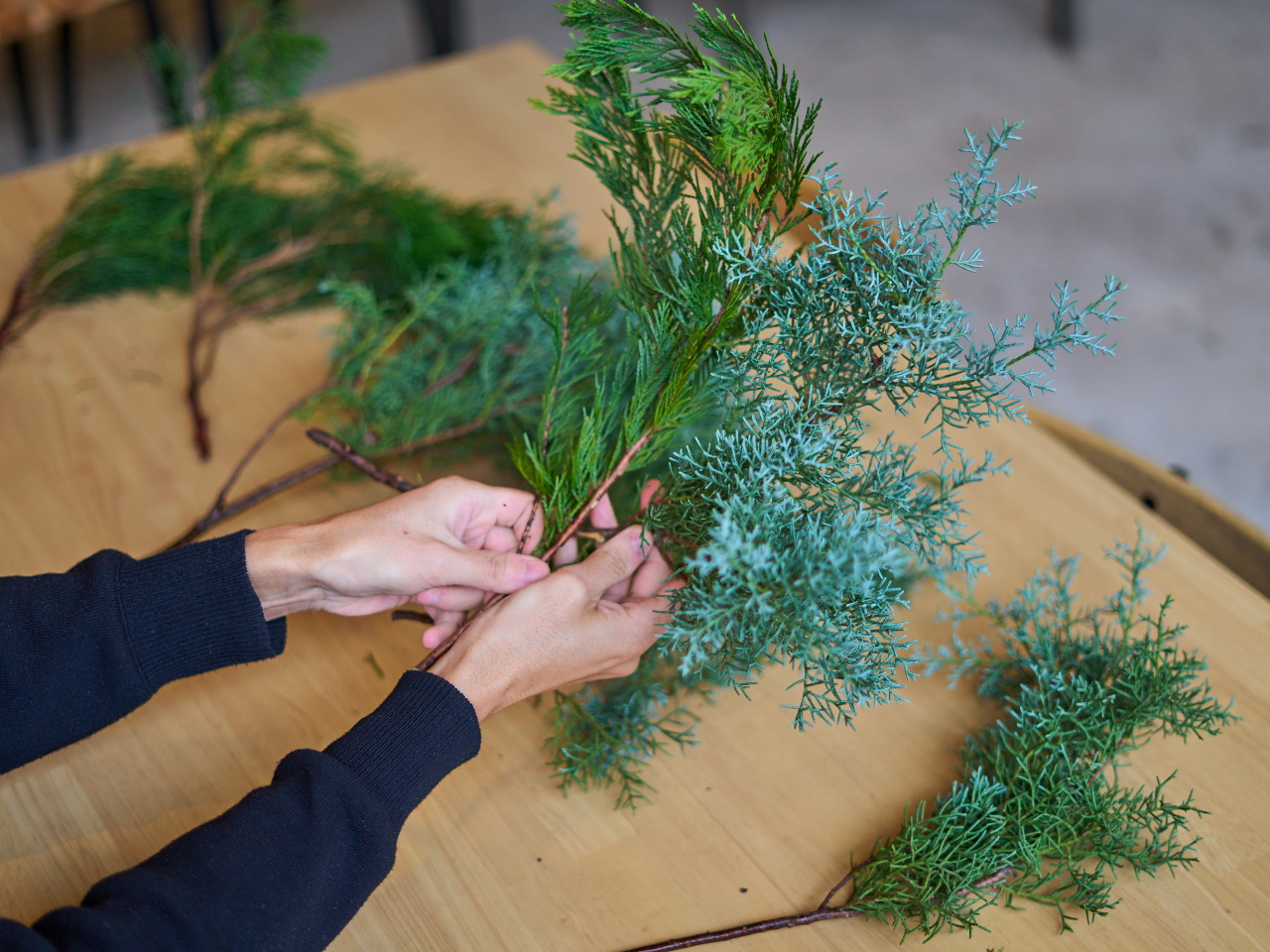 ACAO FORESTō̂ꂽAgč܂