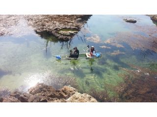 透明なカヌーで海上から楽しみます