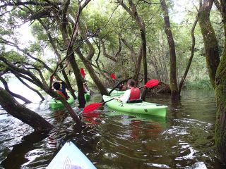 ジャングルクルーズが楽しめます。