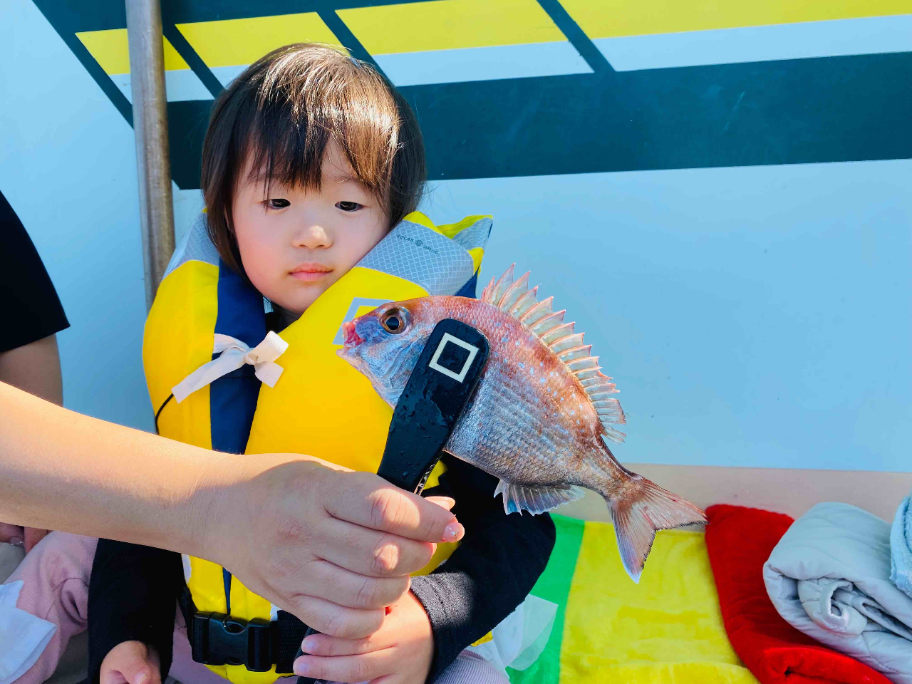 yDނ̌ցz 1uJnMKVvE2`5uKVvE6`8uAWEKVvE9`11u^`EIvE12uJnMv_ŏoD\łB