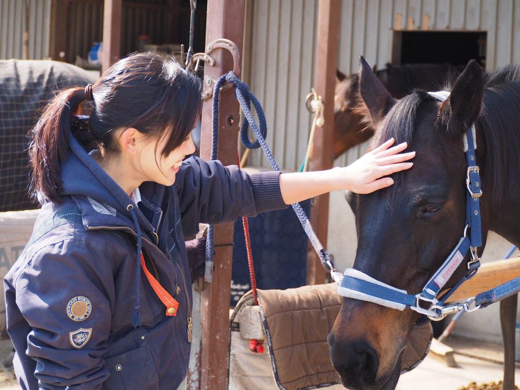 4R[XŁA߂߂B܂傤Ŕnɏ悤ɂȂ܂