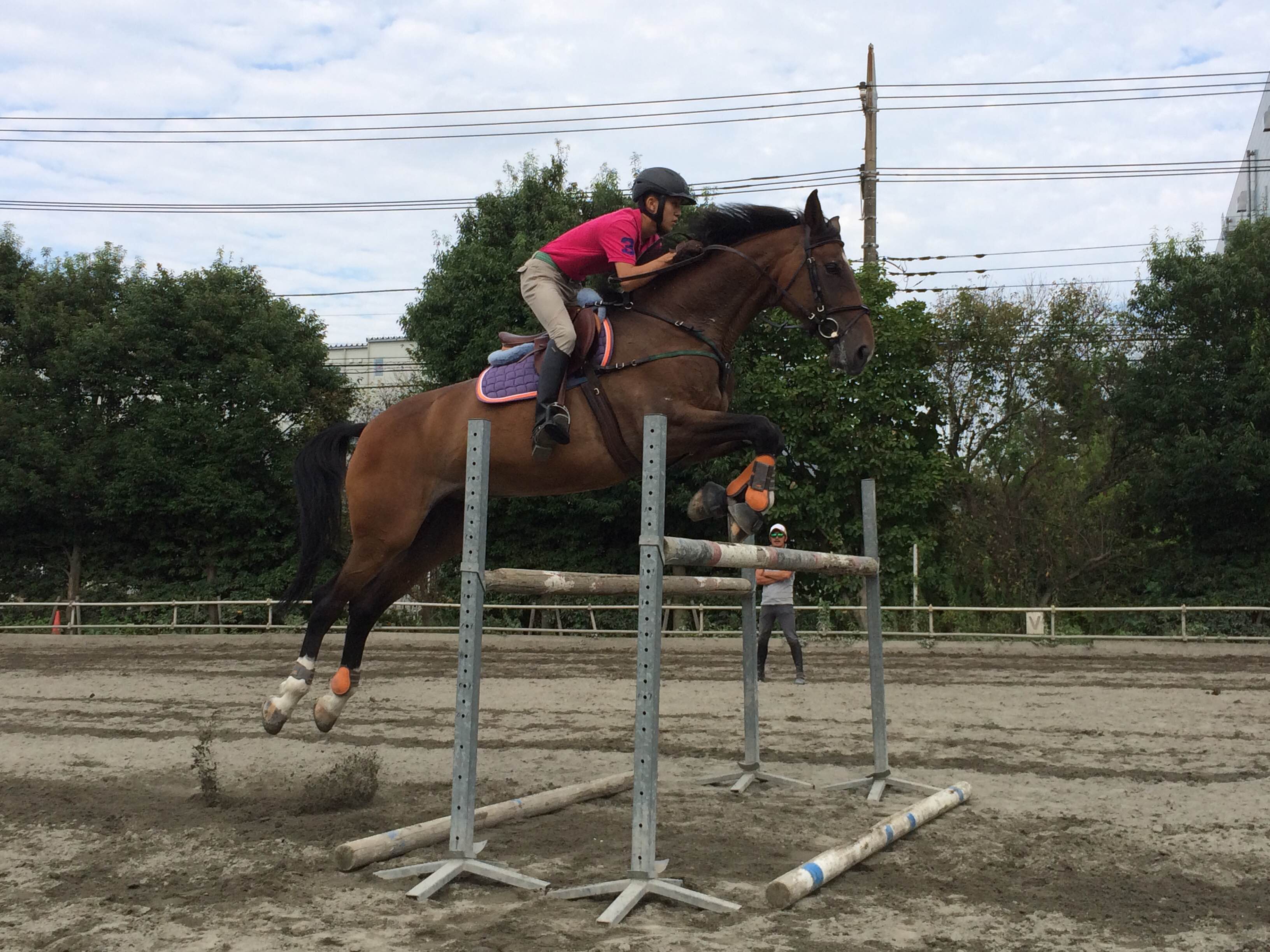 ňoSȂłvIOꂵbXňSł