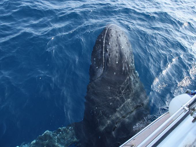 �D�̐^�����爥�A�ɗ��Ă���鎖���I