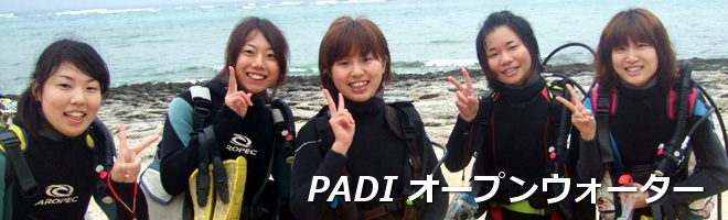 Eő̃_CrOwcPADĨCZXEEւ̃pX|[gɓ悤!!