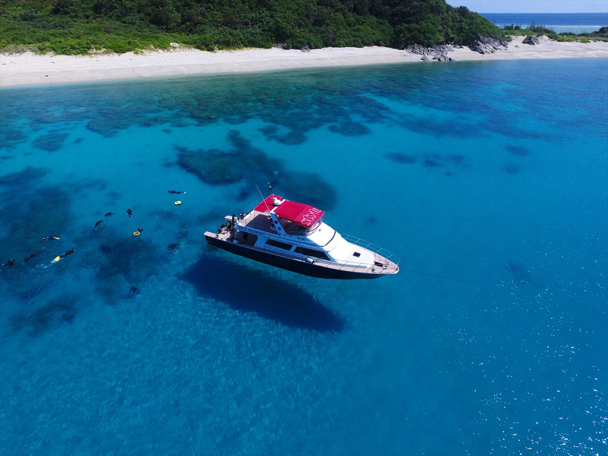 Goproレンタル付き 那覇発 1日ケラマ諸島ボート体験ダイビング 1ダイブ スノーケリング 2 3ポイントを回遊 送迎 器材レンタル無料 ドリンク付き お写真プレゼント ディーズパルス沖縄 じゃらん遊び体験