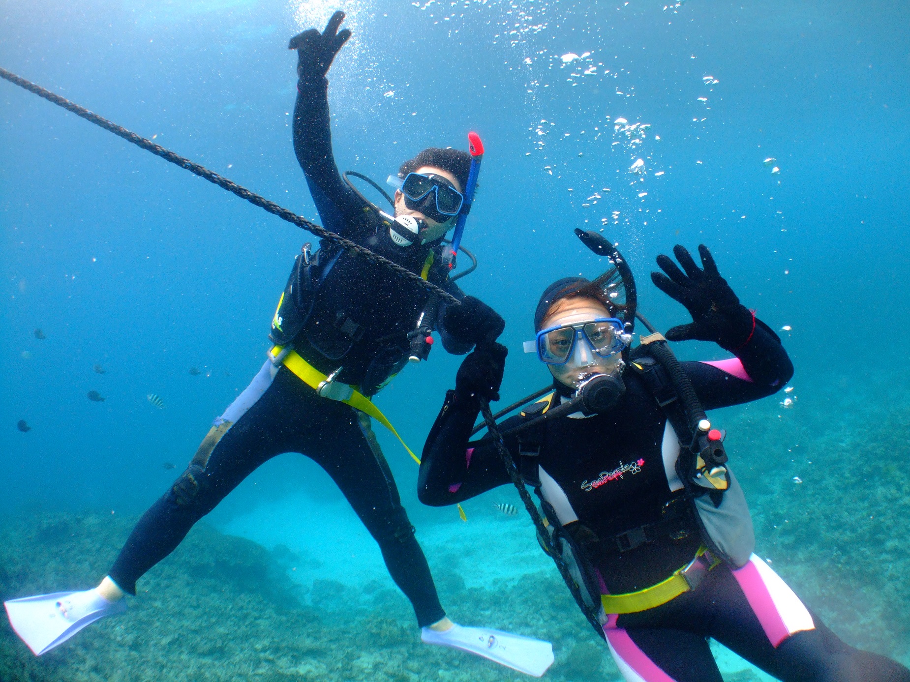 cǊԃ`[rV̊C͂ȂɓxI