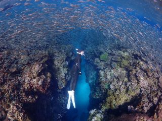 スキンダイビングのスキルを身に着けて自由に水中を楽しむコースです!