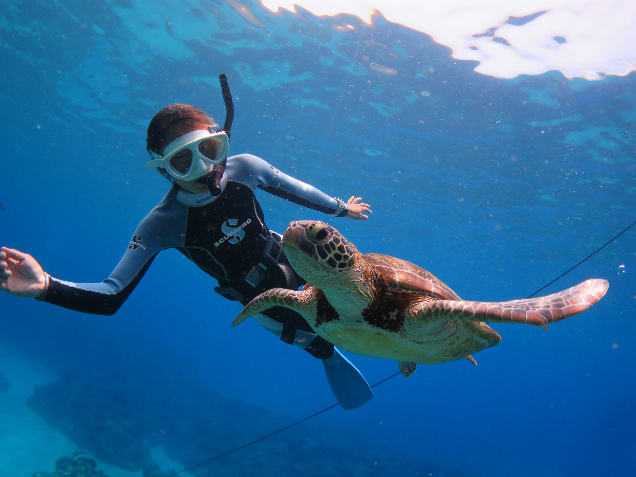 cǊԏł̓E~K̑̂ŁAȃV`G[VOO