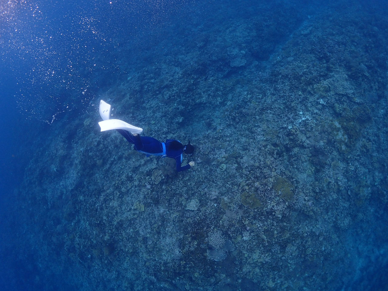 [͍ő10`15AKĂ̂тƂē܂