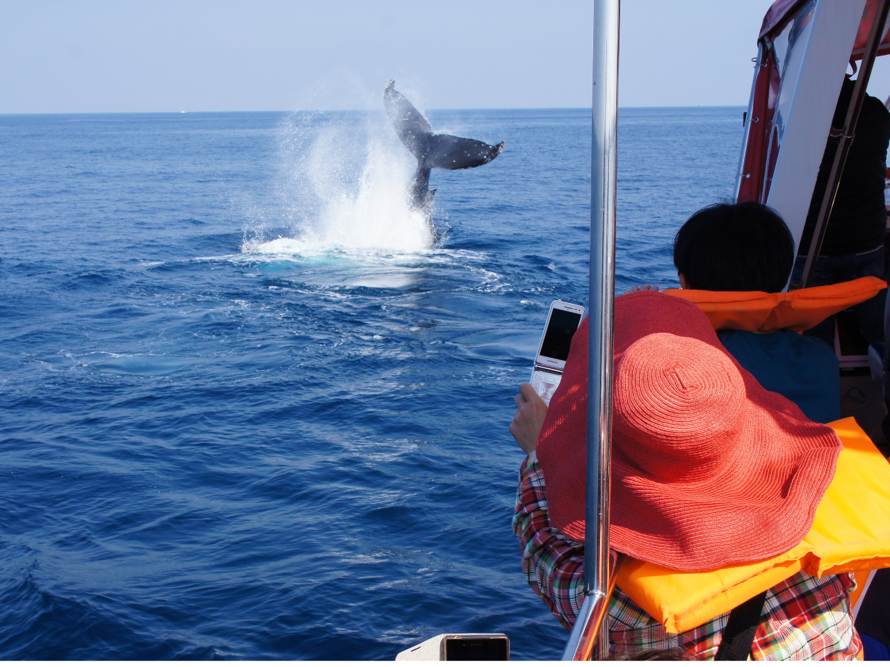 �_�C�i�~�b�N�ȃp�t�H�[�}���X���݂�邩��!!�|�B�҂ȃU�g�E�N�W�������