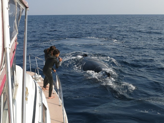 �z�G�[���E�H�b�`���O����ɍs�����I