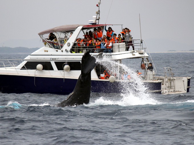 ���т�𐅖ʂɒ@������V�[���ł��B