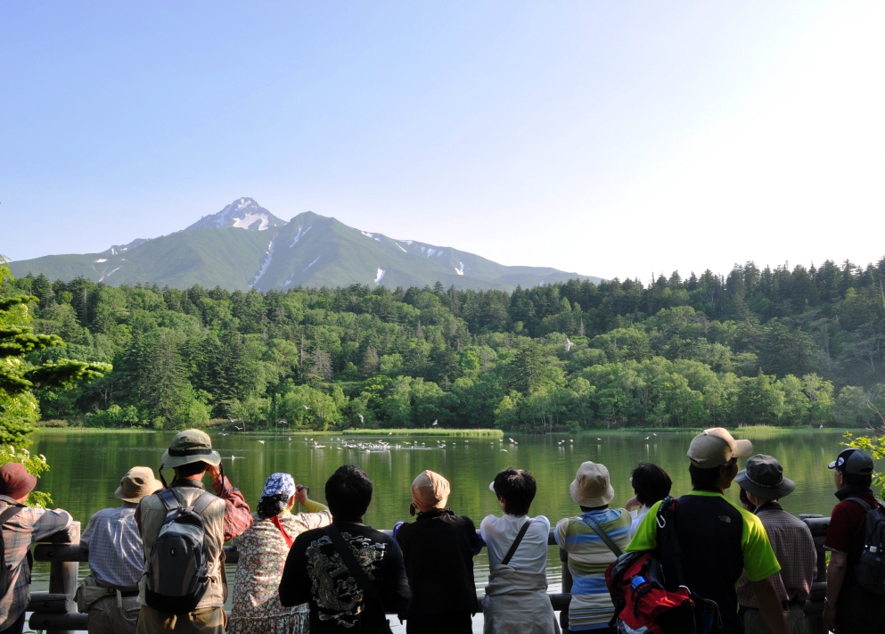 利尻島ハイキングプラン