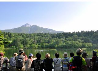 原生林に囲まれた「姫沼」の1周木道コースをゆっくり歩きます。