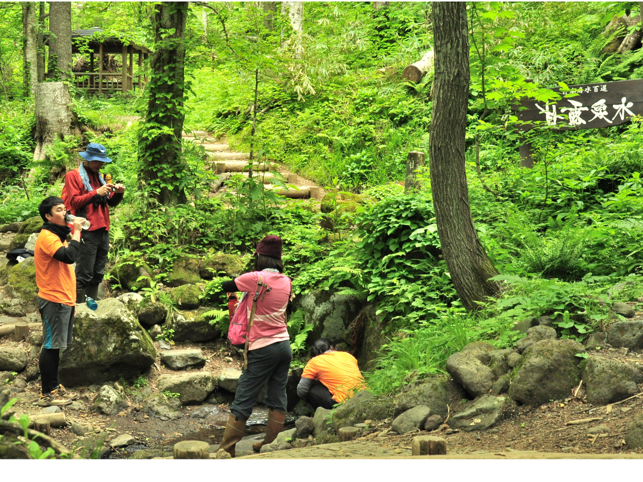 uØI򐅁vR[X͓{100I̔Ny߂XїR[XI{̐Xї100IɂI΂Ă錴т܂B