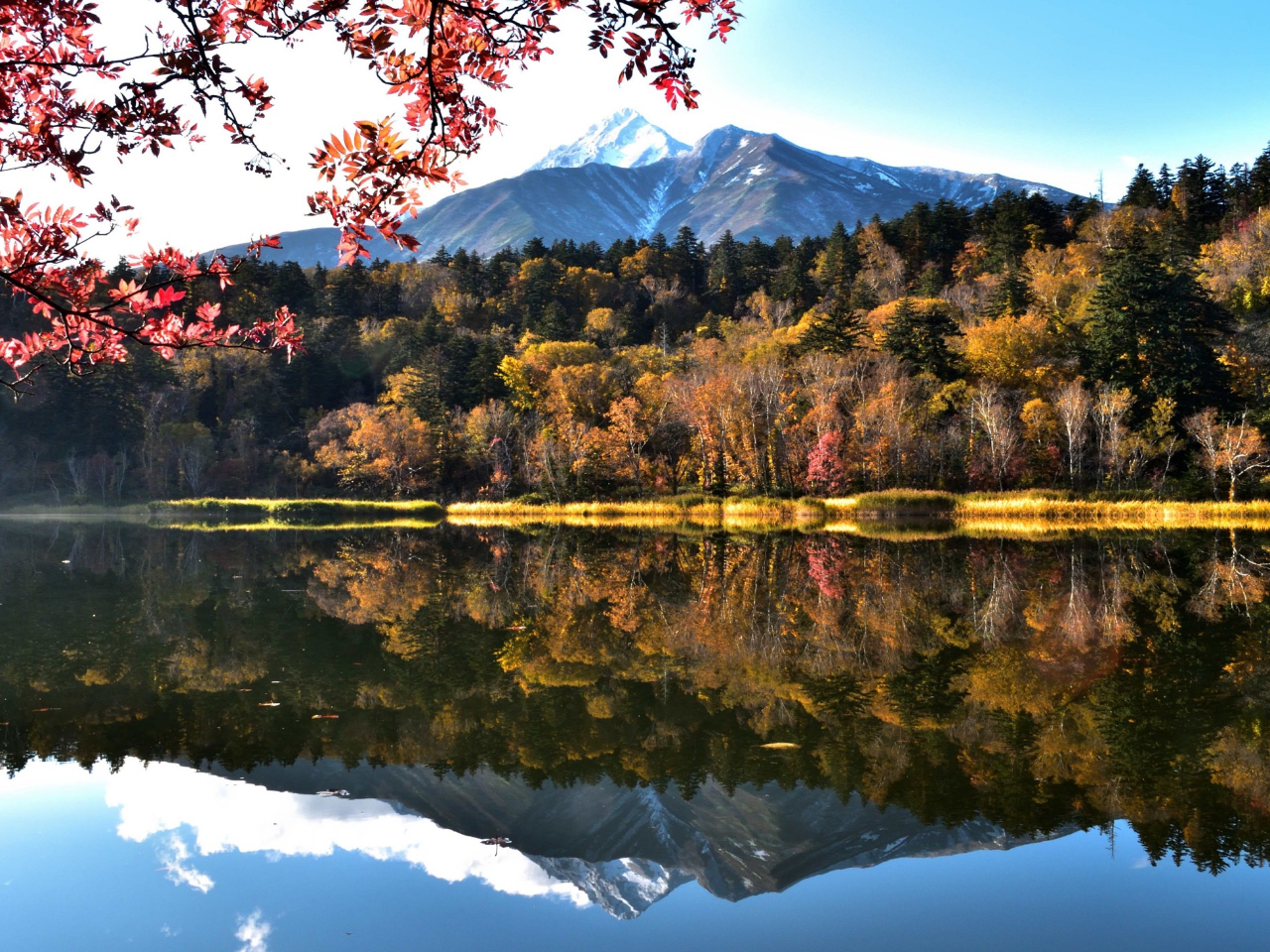 9�����{�ɂ͏�����ƂȂ�ꍇ���������܂�