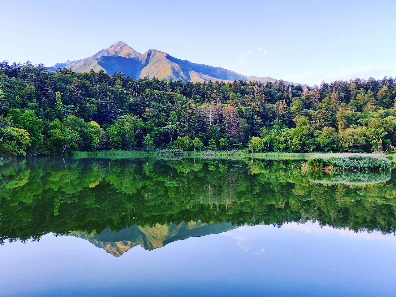 9{AX̗΂ƎȐHF̑Δ䂪Ył