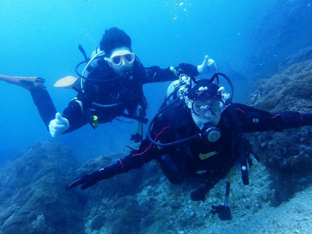 ニモの仲間の「クマノミ」にも会えます♪♪