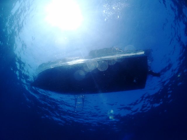 黒潮の恩恵を受ける海です。黒潮が接近すると透明度上昇。