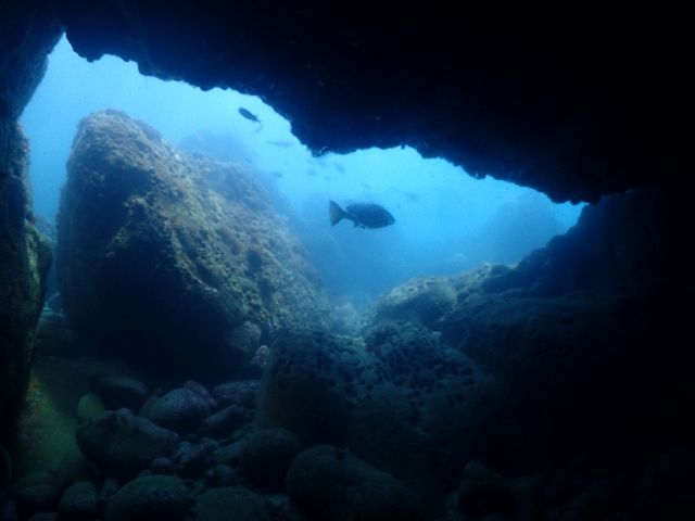 ポイント「先端アーチ」 地形的なポイントです。