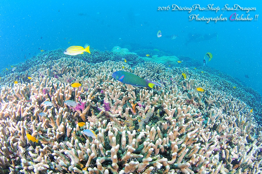 rG_n}TŠQLN}m~p_CX͖|CgI