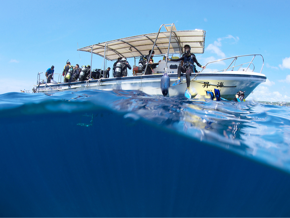 �l�C�́u�̓��A�v��M�ы��Q���T���S�A�������n�Ɩ����́u�R�c�|�C���g�v���y���߂܂���