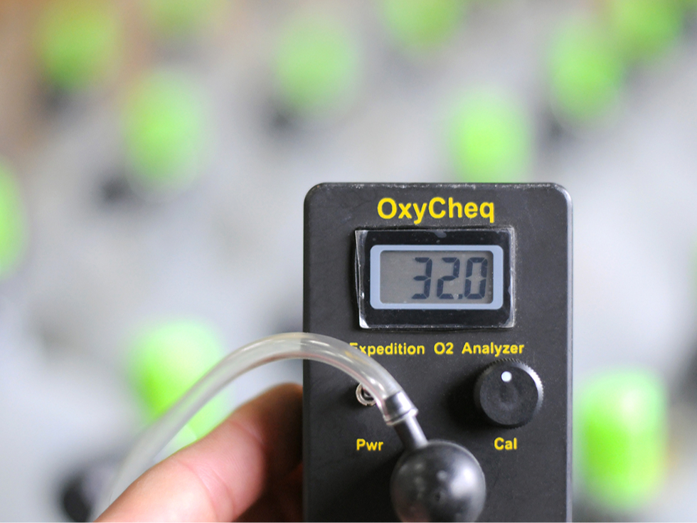 �L���i�҂ł���΃i�C�g���b�N�X������ ���S�Ɋy�������ē��ł��I�I