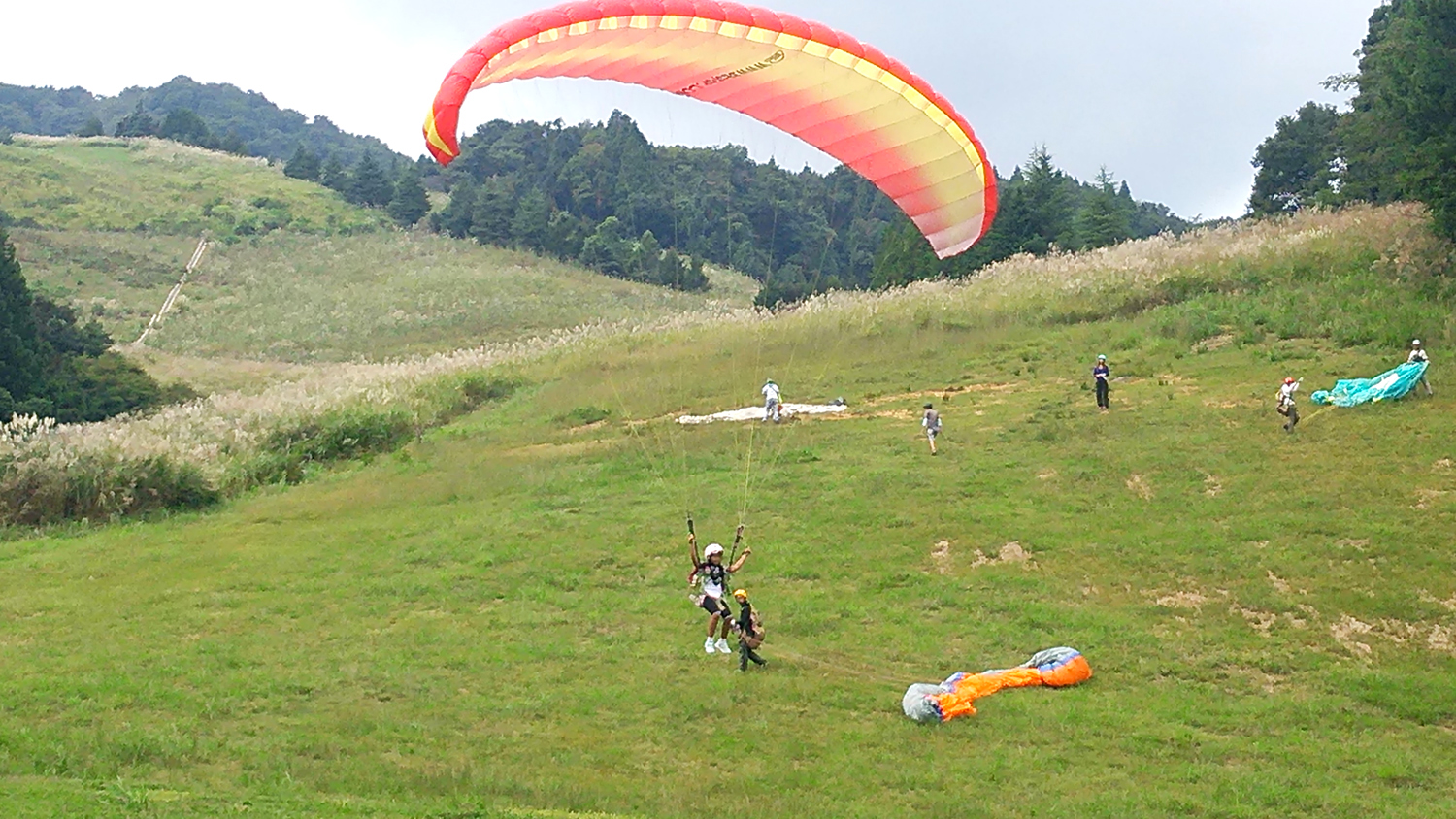 フライトイメージ