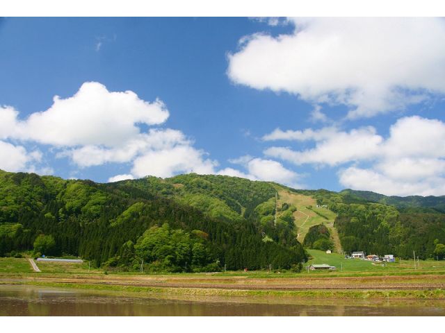 全体風景
