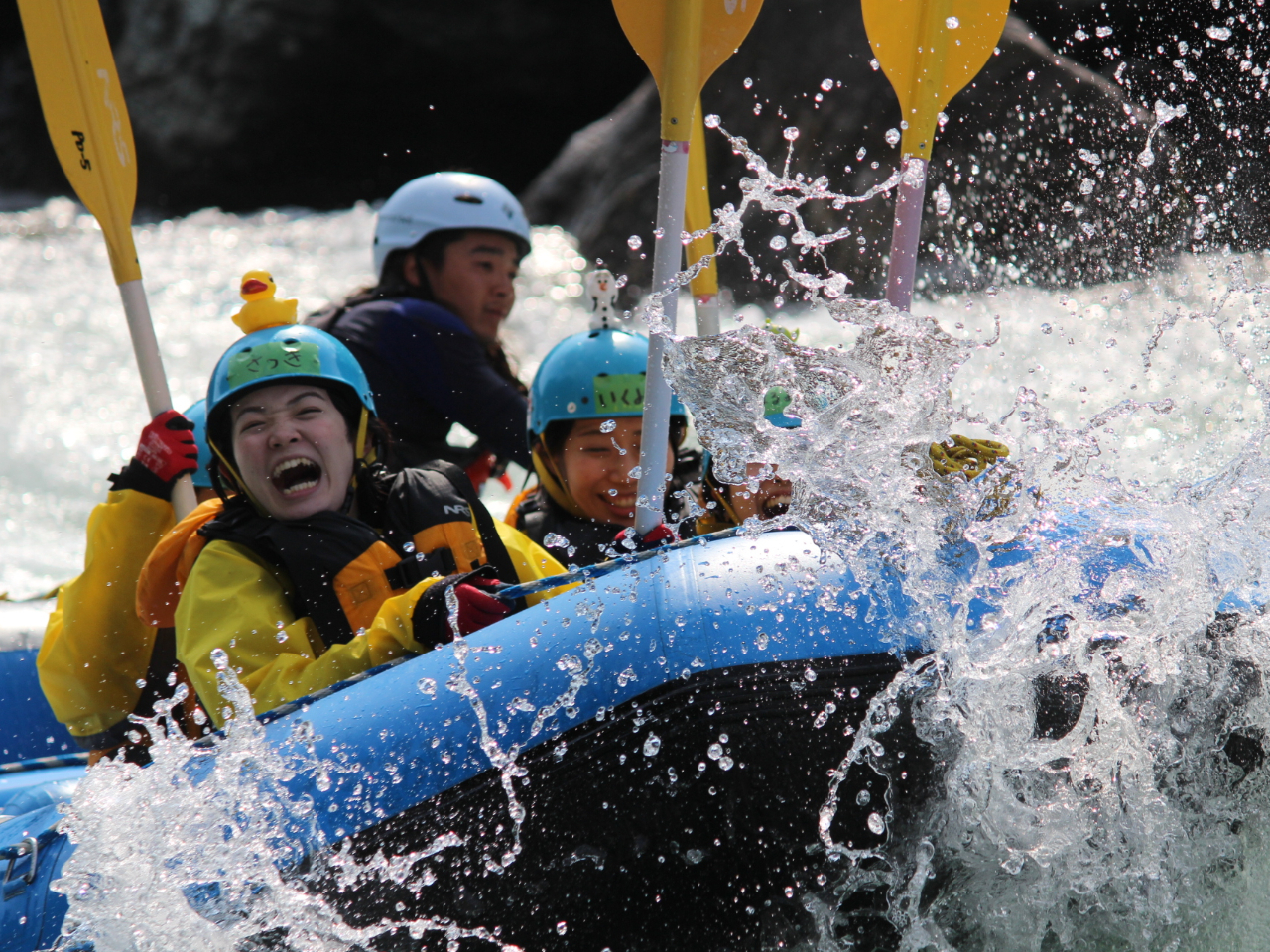 gԂoVbII@VR̃WFbgR[X^[łI