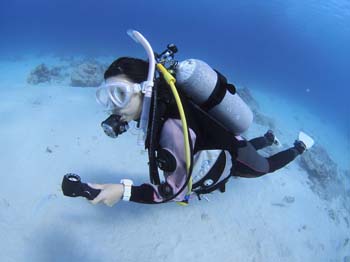 アドバンスライセンス取得コース<レンタル器材無料♪> 2日間 【ワンランク上のダ...