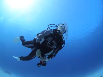 伊豆の海をたっぷり堪能!【2ビーチファンダイビング】<レンタル器材無料サービス>