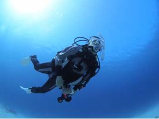 ダイビングの醍醐味≪浮遊感≫を魚達と一緒に感じましょう♪
