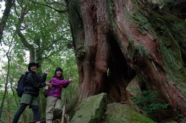 J_ł傫ȉv邱Ƃł܂B͓吙B