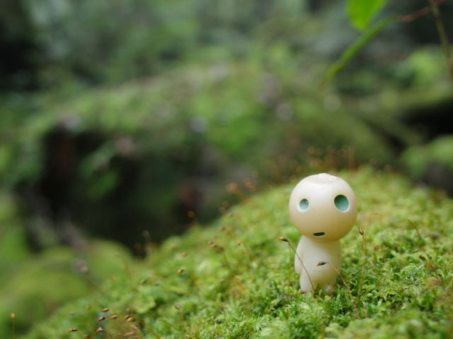 木の精霊「コダマ」にも出会えるかも!?