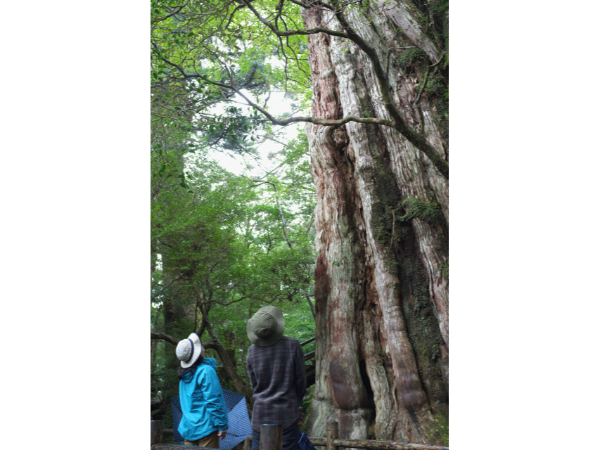 NXMh班΂ĐROOONuIv邱Ƃł܂