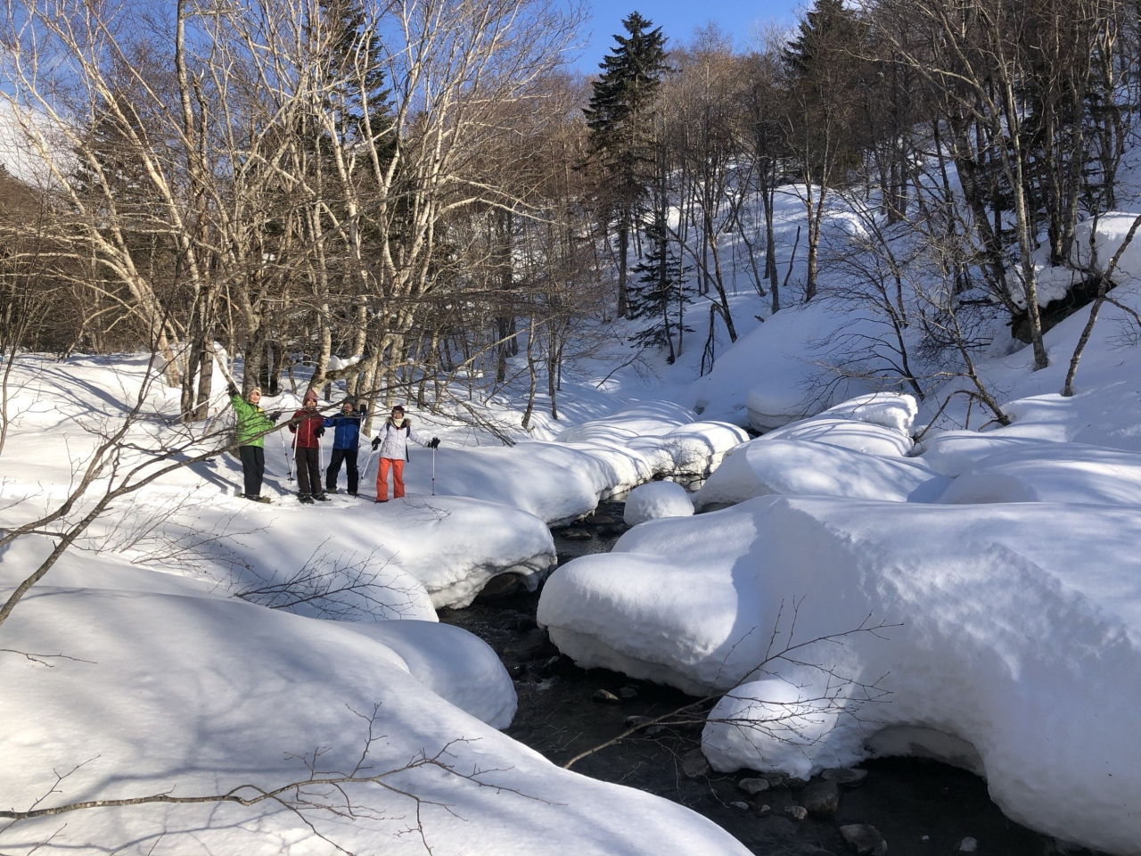 R[X̓rɂ̓}V}A悤ȌkoĂ܂B