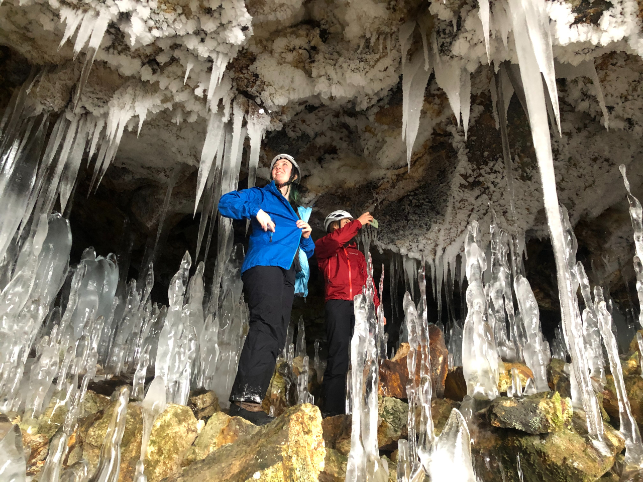 낢m肽͐Xw̐KChڂ܂B