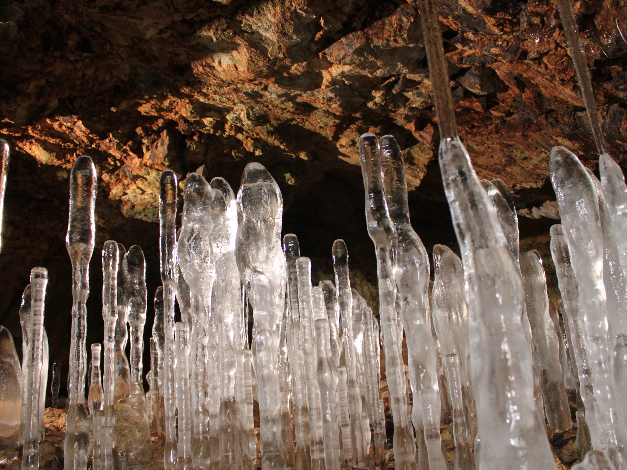 _IȎȒ`ڌ悤ƍO痷s҂KsvcȖ͂̏łB