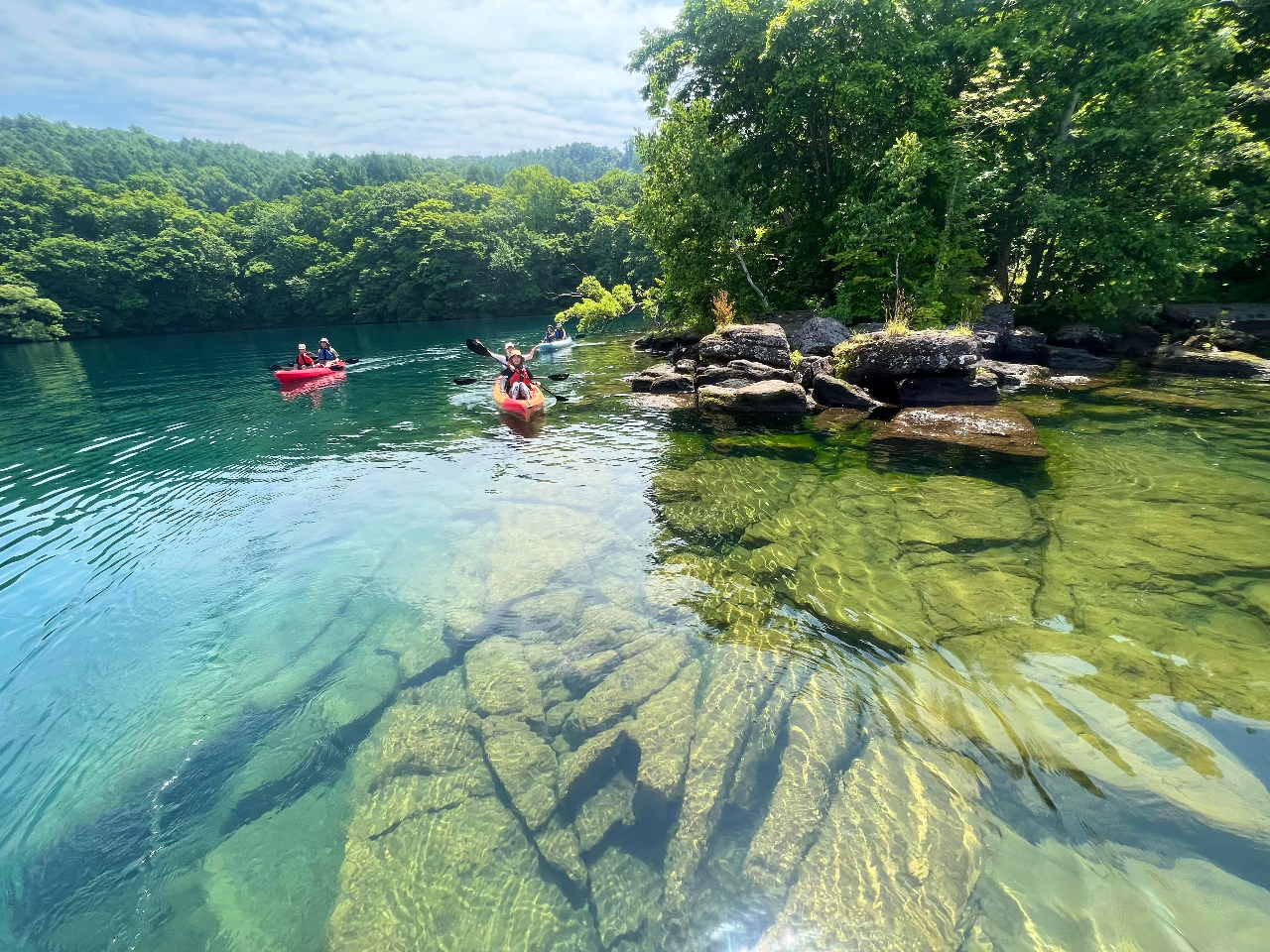 Rx̍lXRFWITCg̃cA[R[XłI