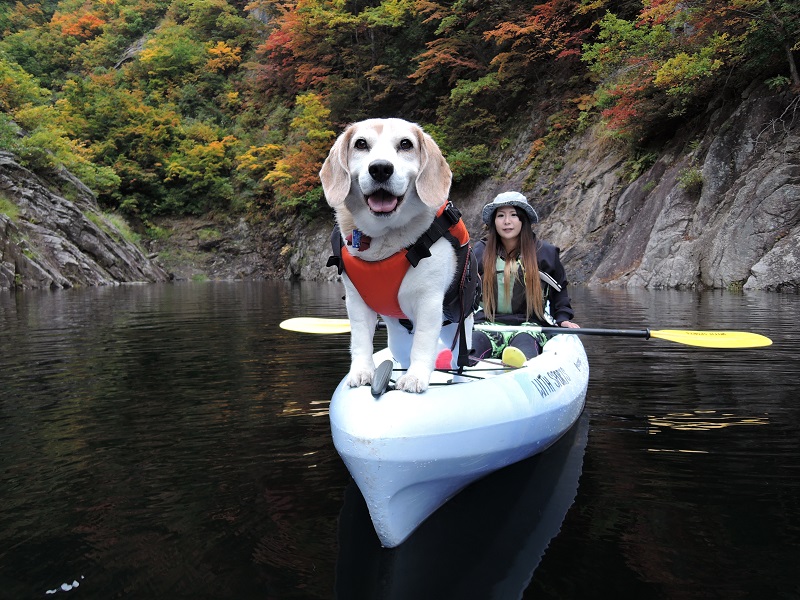 わんわんカヌーツアー 愛犬と戯れよう お写真サービス 湖上でおやつタイムも ウィズスポーツ じゃらん遊び体験