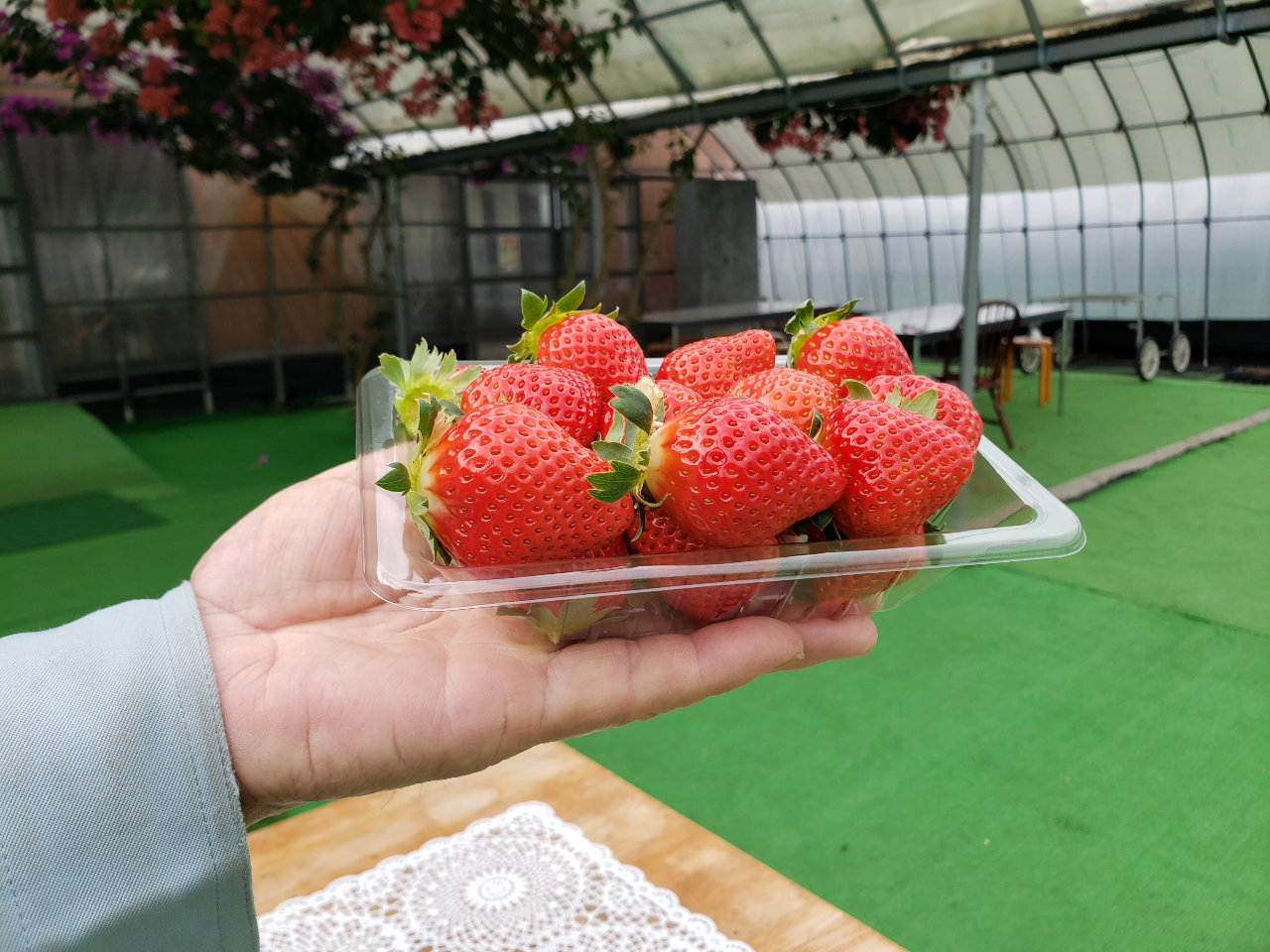 �P�p�b�N�i�U5�O�~�j�̖ڈ��̗ʂł��B